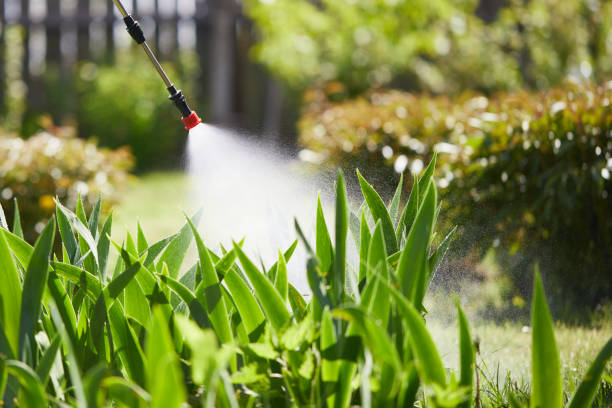 Tamper-Resistant Bait Stations for Rodents in Gruver