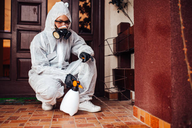 Attic and Crawl Space Rodent Treatment in Gruver