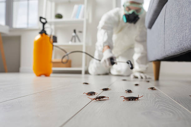 Commercial Rodent Management in Gruver